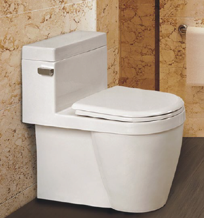 ICERA Muse low-flow toilet