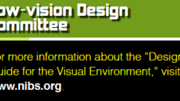 NIBS' Low Vision Design Committee