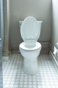 DonorsChoose.org, New York, features American Standard toilets. 