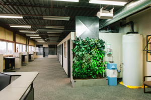 Enviro-Stewards of Elmira, Ontario, completed a 2,500-square-foot renovation to double its office space on the third floor of a 100-year-old furniture factory.