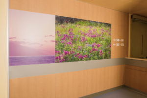 Biovation reports the use of BioSurf as an easy-to-clean, eco-friendly, and custom-digital medium for wall art in health-care facilities.