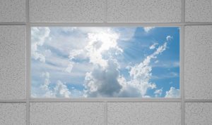 Virtual Skylights LED Panel Light Fixtures offer an alternative to window skylights.