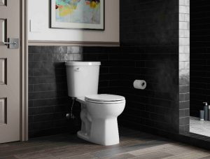 Valton two-piece toilets feature the patented ProForce Plus waste removal system to offer an enhanced flush.