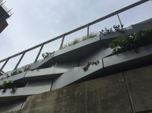 The living wall system serves as a transition point between a plaza connecting two adjacent buildings on the university campus.